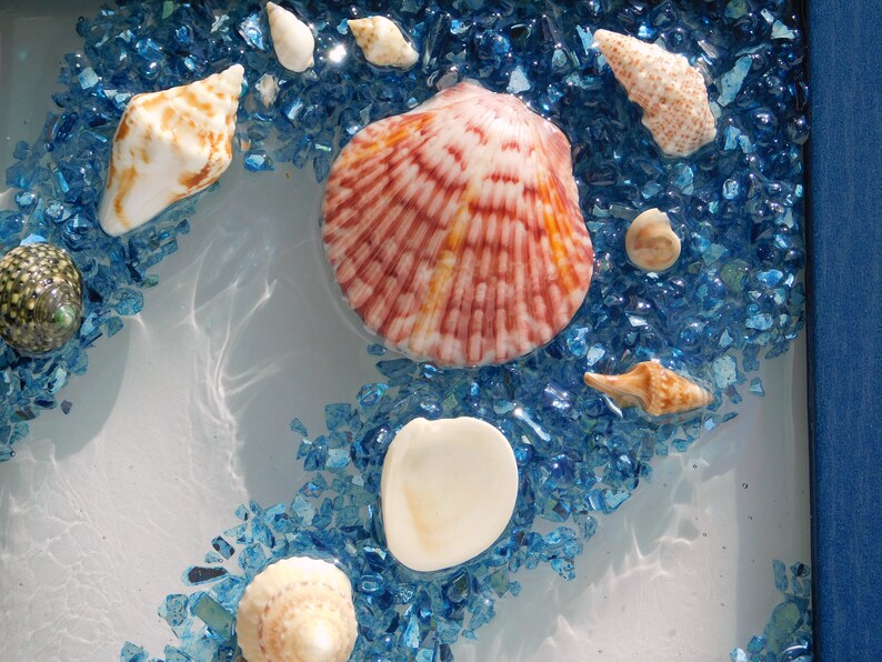 Seashell Wall Hanging Coastal Art Seashell Window Beach Etsy