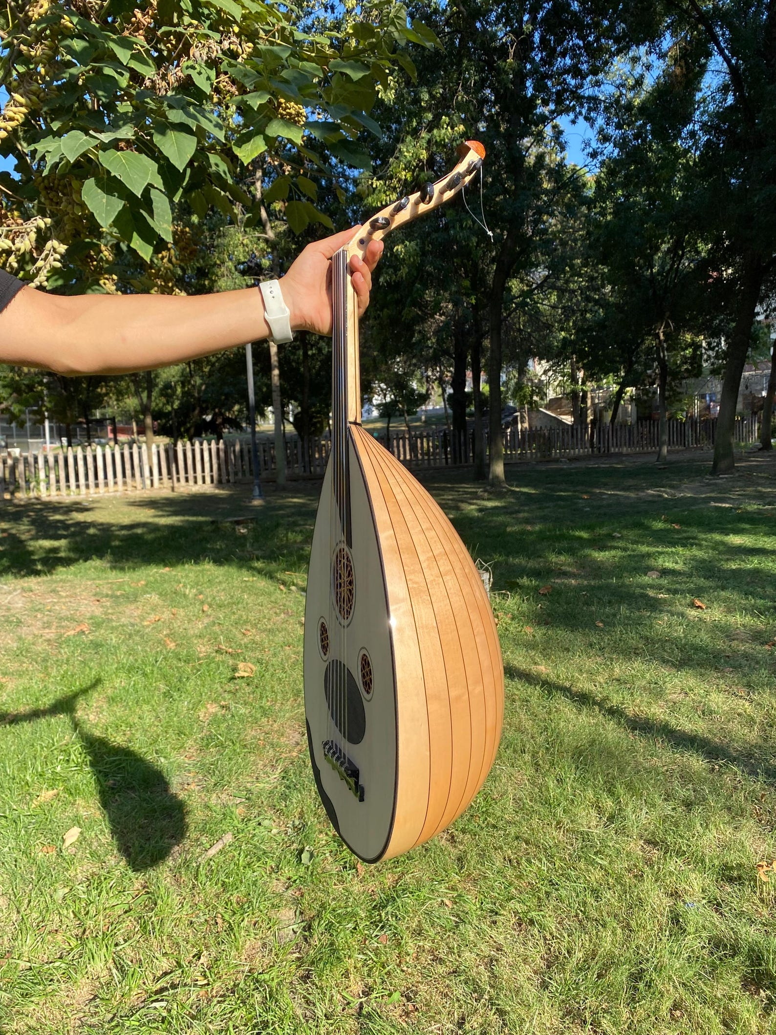 Professional Turkish Oud Instrument - Traditional Stringed Musical ...