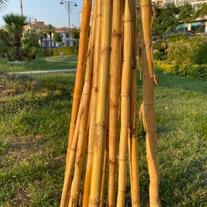 Wholesale Natural Bamboo Sticks - Bohemian Home Decoration - Bulk and Retail Bamboo for Crafts and Decor