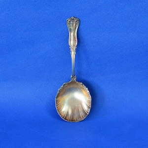 Puede incluir: Una cuchara de servir de plata con un mango adornado y un cuenco festoneado. La cuchara está sobre un fondo azul.