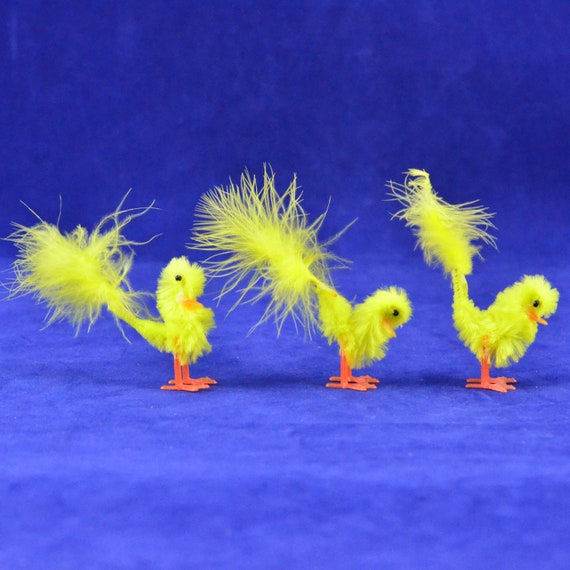Pipe-cleaners and Feathers
