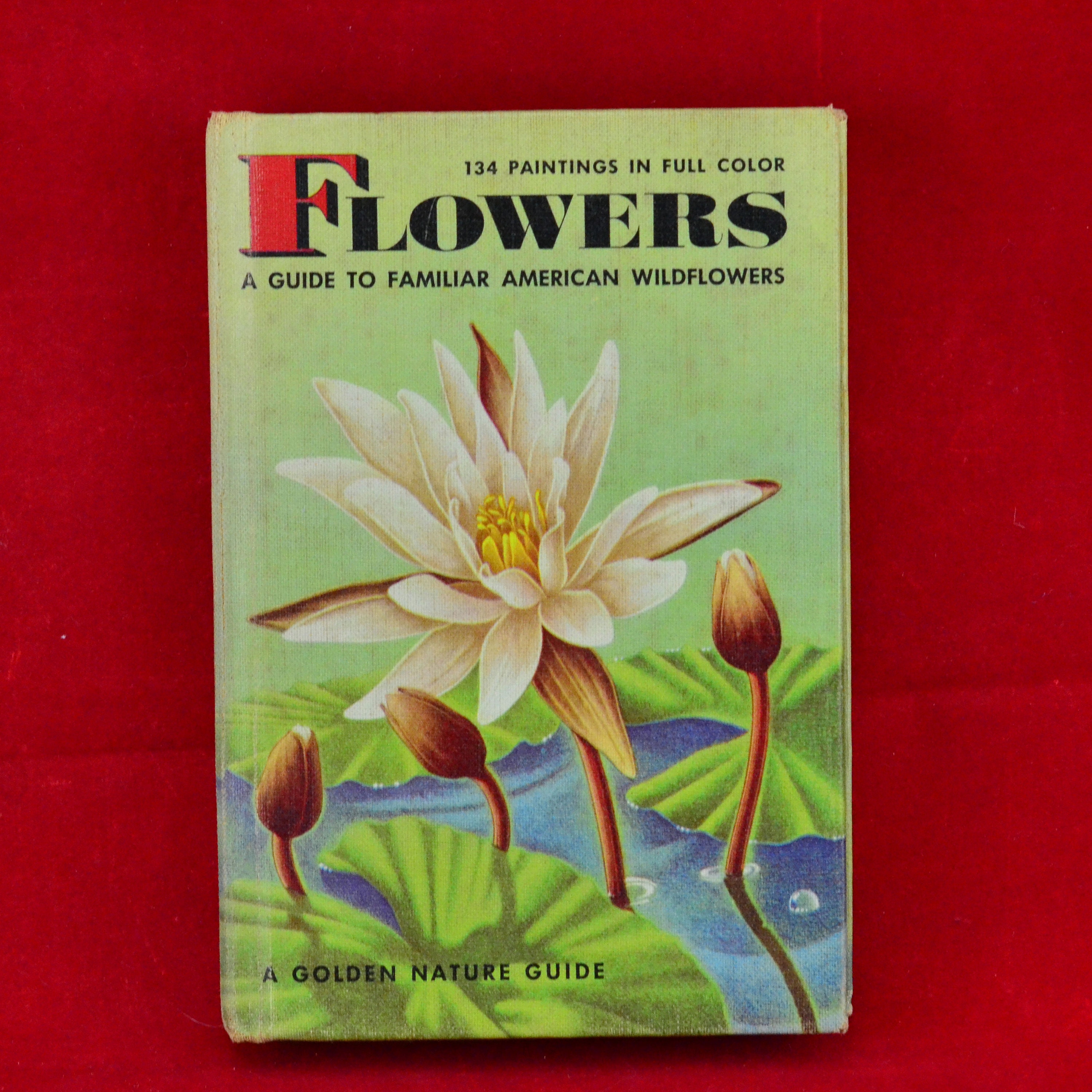 花と太陽と雨と official fan book案内書 Guide Book Flowers: A Guide to Familiar American Wildflowers by Zim & Martin