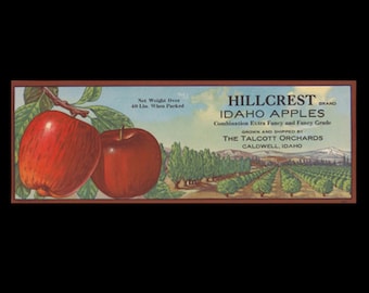 Rótulo de caixa de maçãs vintage da marca Hillcrest Idaho - Talcott Orchards em Caldwell, Idaho