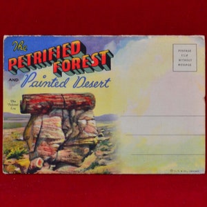 La foresta pietrificata e il deserto verniciato set con 16 biglietti fotografici c. 1940 – Pacchetto di fisarmonica di lino - Ephemera – Travel Souvenir