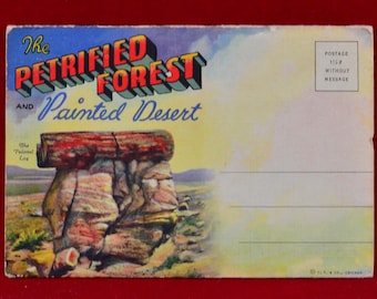 The Petrified Forest and Painted Desert Postcard Set with 16 Photo Cards c. 1940s – Linen Accordion Packet - Ephemera – Travel Souvenir