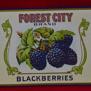 Pode incluir: Um r&oacute;tulo vintage com o texto "FOREST CITY BRAND" em rosa e azul. O r&oacute;tulo apresenta um cacho de amoras maduras, roxas escuras, com folhas verdes. A palavra "BLACKBERRIES" est&aacute; impressa na parte inferior.