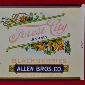 Pode incluir: R&oacute;tulo vintage para amoras da marca Forest City. O r&oacute;tulo apresenta as palavras "Forest City" em escrita rosa, com "BRAND" abaixo. O r&oacute;tulo tamb&eacute;m inclui as palavras "BLACKBERRIES" e "ALLEN BROS. CO." com elementos decorativos.
