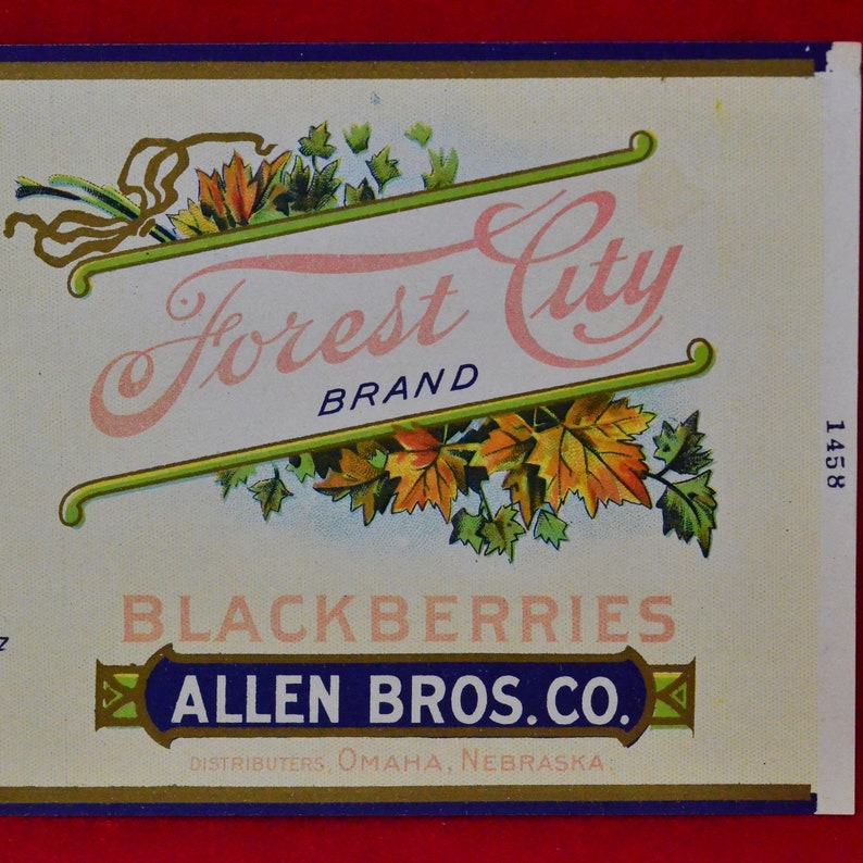 Pode incluir: R&oacute;tulo vintage para amoras da marca Forest City. O r&oacute;tulo apresenta as palavras "Forest City" em escrita rosa, com "BRAND" abaixo. O r&oacute;tulo tamb&eacute;m inclui as palavras "BLACKBERRIES" e "ALLEN BROS. CO." com elementos decorativos.