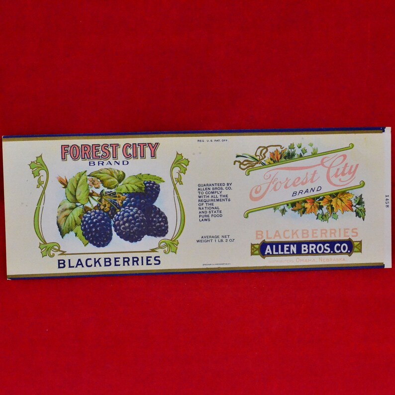 Pode incluir: R&oacute;tulo vintage para "Forest City Brand Blackberries". O r&oacute;tulo apresenta uma ilustra&ccedil;&atilde;o detalhada de amoras em um galho, com o nome da marca em escrita elegante. O r&oacute;tulo tamb&eacute;m inclui texto sobre o produto e Allen Bros. Co.