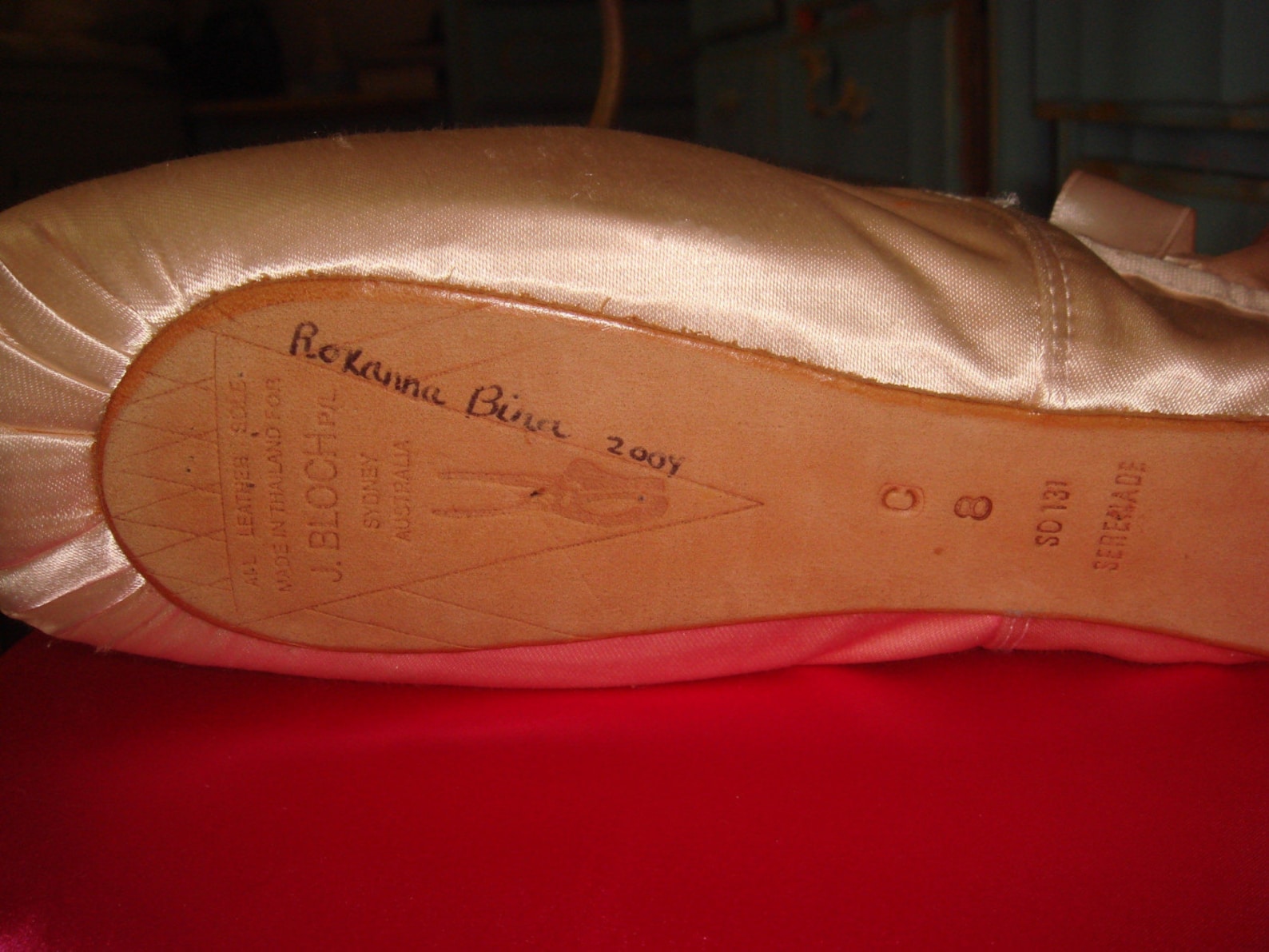 ballet slipper handbag / purse