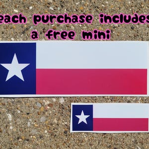 Texas Flag Vinyl Slap Sticker