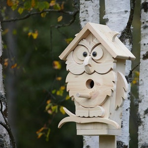 May include: A wooden owl birdhouse with a round entrance hole and large black eyes. The birdhouse is mounted on a wooden pole and is surrounded by birch trees.