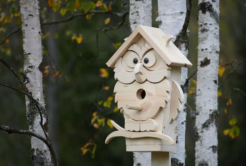 May include: A wooden owl birdhouse with a round entrance hole and large black eyes. The birdhouse is mounted on a wooden pole and is surrounded by birch trees.