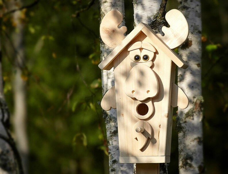 May include: A wooden birdhouse shaped like a moose with large, exaggerated eyes and a wide, open mouth. The birdhouse is painted in a natural wood color and has a small opening for birds to enter.