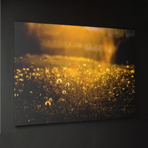 Golden Radiance: Sunlit Meadow Framed Wall Art
