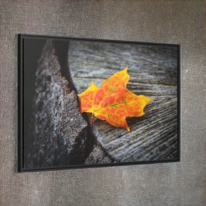 Kunst Herbst Blatt Baumstamm Wandbild in Schwarz Pinienholz Rahmen