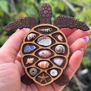 Può includere: Oggetto decorativo a forma di tartaruga in legno, con guscio e testa marrone scuro e corpo marrone più chiaro. Il guscio della tartaruga è riempito con varie conchiglie. Le ali sono anch'esse marrone scuro. L'oggetto è tenuto in una mano.
