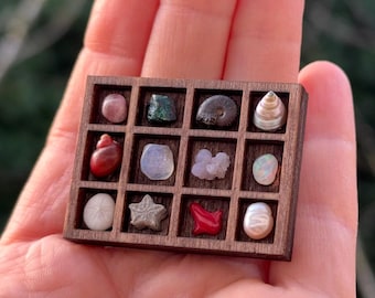 XS Printer Tray IV - Mini Curio Shelf