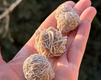 Desert Rose - Mineral Specimen