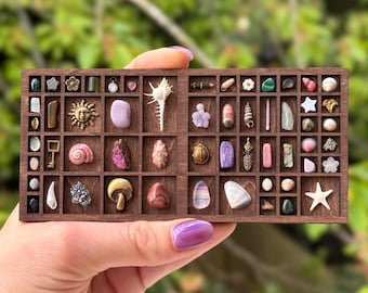 Puede incluir: Un expositor de madera con numerosos objetos pequeños, incluyendo cristales, conchas y elementos decorativos. El expositor está dividido en pequeños compartimentos, cada uno con un objeto único. Los objetos son de varios colores y formas, creando una colección diversa.