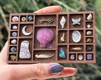 Puede incluir: Una vitrina de madera con varios objetos pequeños, incluyendo conchas marinas, una llave, una mariposa y una luna creciente. La vitrina se sostiene en una mano contra un fondo verde borroso. Los objetos están en compartimentos individuales.