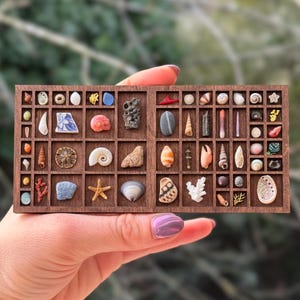 Bandeja de impresora de caja inferior - Mini estante de curiosidades