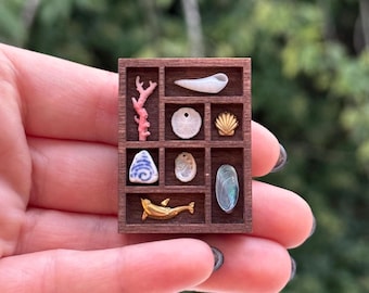 XS Printer Tray II - Mini Curio Shelf