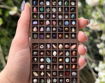 Puede incluir: Un expositor de madera lleno de una variedad de pequeñas piedras preciosas y conchas marinas. El expositor está dividido en numerosos compartimentos pequeños, cada uno con un tipo diferente de piedra o concha. Las piedras preciosas son de varios colores, incluyendo rojo, verde, azul y morado.