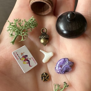 Curiosity Acorn - Trinket Trove