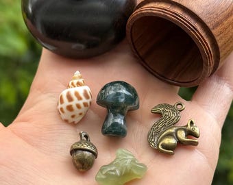 Grand Curiosity Acorn - Trinket Trove