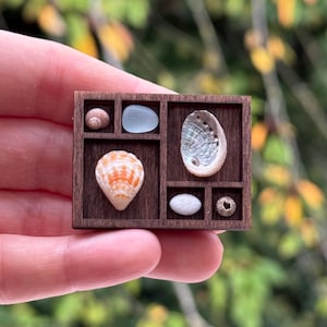 XS Printer Tray III - Mini Curio Shelf