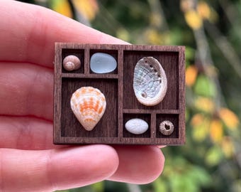 XS Printer Tray III - Mini Curio Shelf