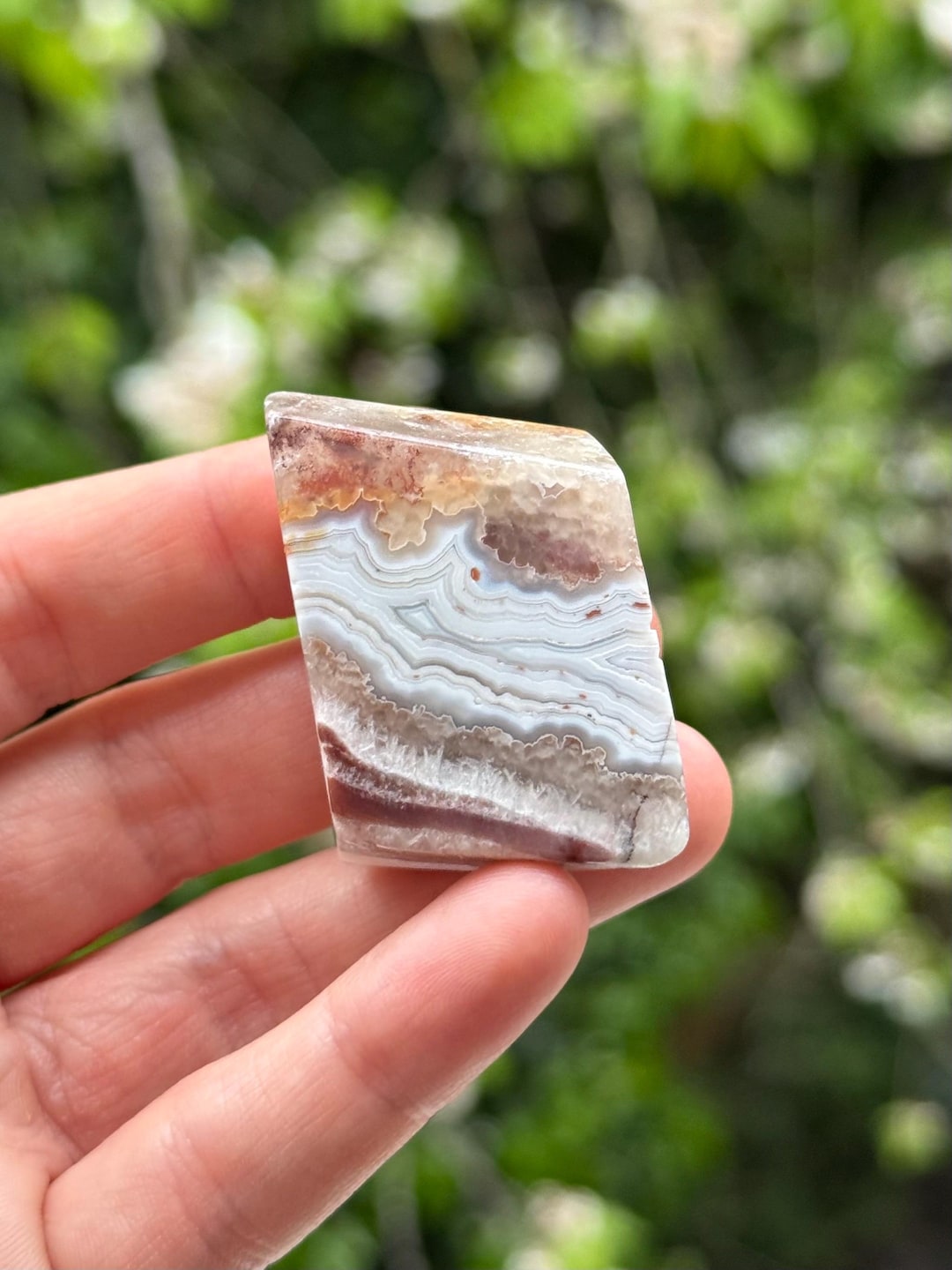 Crazy Lace Agate - Mineral Specimen - Etsy