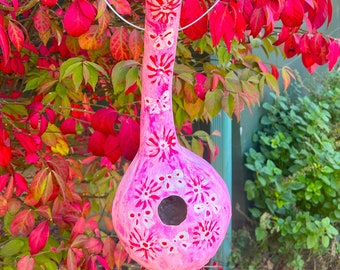 Bursting Bows: Handpainted Gourd Bird House