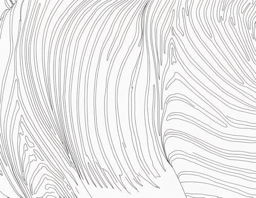 Zebra 1 Printable Coloring Page (8.5 X 11) - Etsy