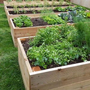 Raised Bed Garden Box Plans,Raised Garden Beds,Raised Cedar Fence Pickets,DIY Planter Box Plans,Flower Box,DIY Cedar Garden Bed, woodworking