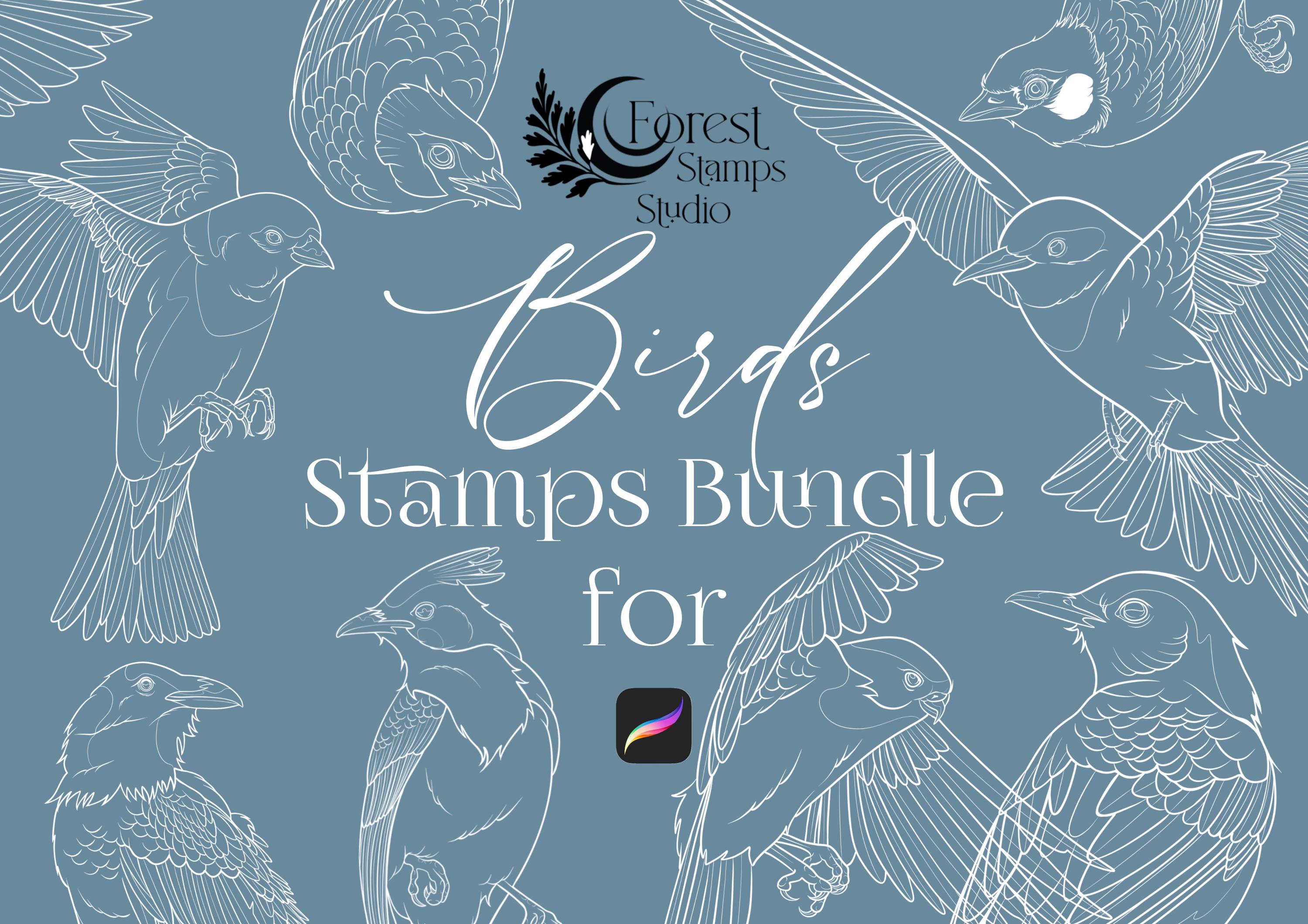 30 Birds Stamp Brush Set for Procreate – Tattoo-Style Animal Designs