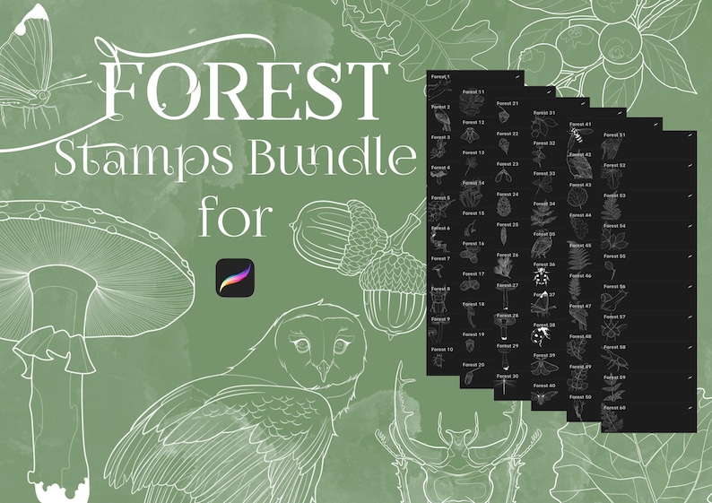 60 Forest Theme Stamps for Procreate Brushes Fern Mashrooms Animals ...