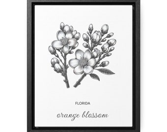 Floridas apelsinblomma, delstatsblomma, canvastavla i ram