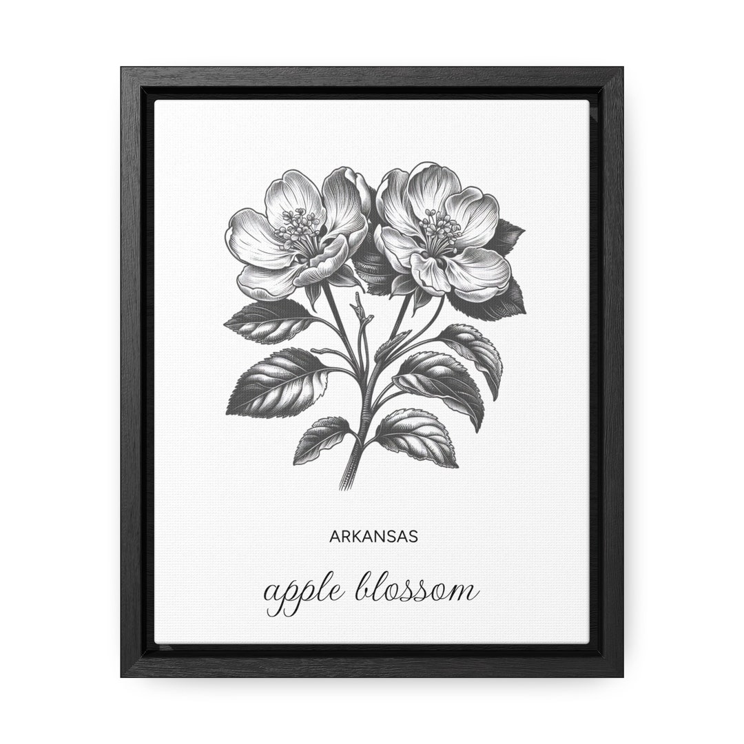 Arkansas Apple Blossom State Flower Canvas Framed - Etsy
