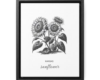 Kansas Sunflower State Flower Canvas Framed