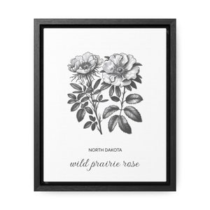 North Dakota Wild Prairie Rose State Flower Canvas Framed
