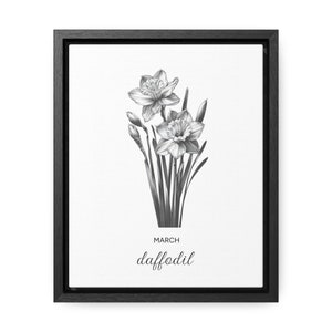March Daffodil Birth Flower Framed