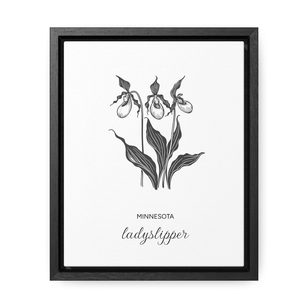 Minnesota Ladyslipper State Flower Canvas Framed - Etsy