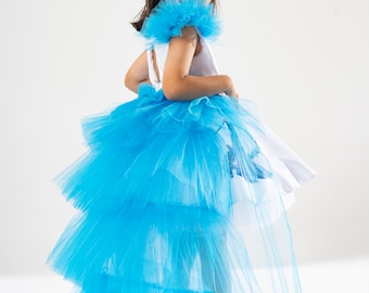 Vestido de princesa Elsa: vestido de tul azul con capa, corona y varita desmontables