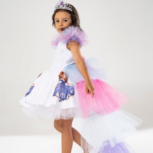 Può includere: Una bambina che indossa un vestito bianco con gonna di tulle e una stampa di un personaggio di una principessa. Il vestito ha una coda di tulle rosa, bianca e viola. Indossa una tiara argentata con gemme viola e scarpe bianche.