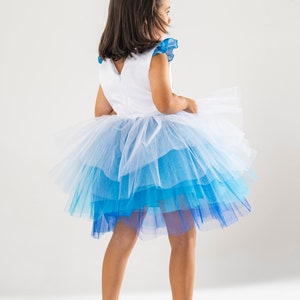 Elsa Princess Costume Dress: Sparkly Tulle Gown with Crown