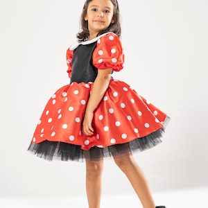 Minnie Mouse Birthday Dress: Red Polka Dot Tutu, Handmade Crown
