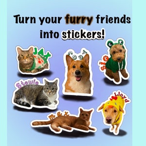 Pet sticker, pet photo sticker, custom pet sticker, waterproof, personalized sticker