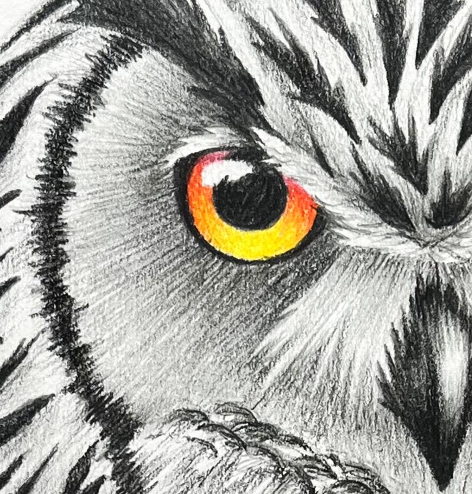 Original Handmade Owl Drawing, Black & White - Graphite Pencil Art on ...